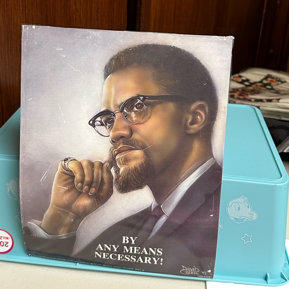 African American Malcolm X laminated poster